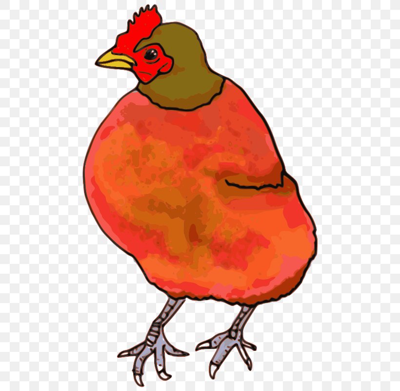 The Little Red Hen Chicken Clip Art, PNG, 498x800px, Little Red Hen, Artwork, Battery Cage, Beak, Bird Download Free