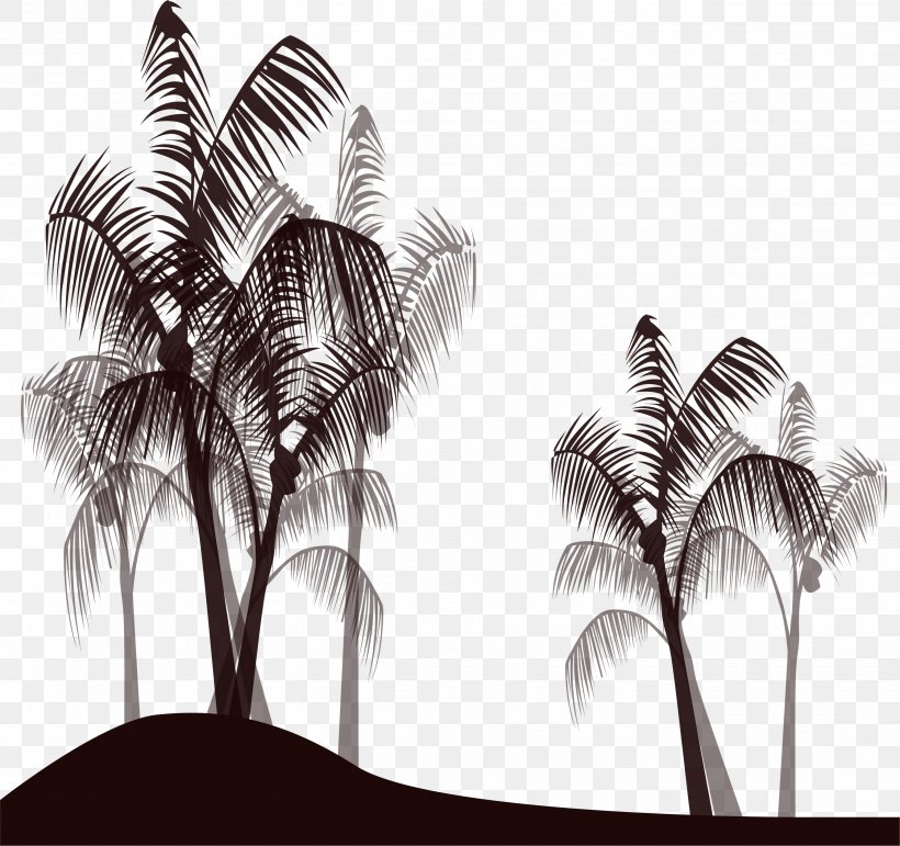 Arecaceae Black And White, PNG, 2677x2518px, Arecaceae, Arecales, Black And White, Coconut, Monochrome Download Free