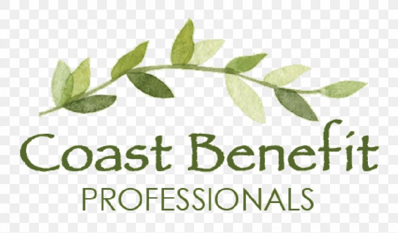 Coast Benefit Professionals Employee Benefits Ashley Drive Service Brand, PNG, 900x528px, Employee Benefits, Area, Branch, Brand, Fruit Download Free