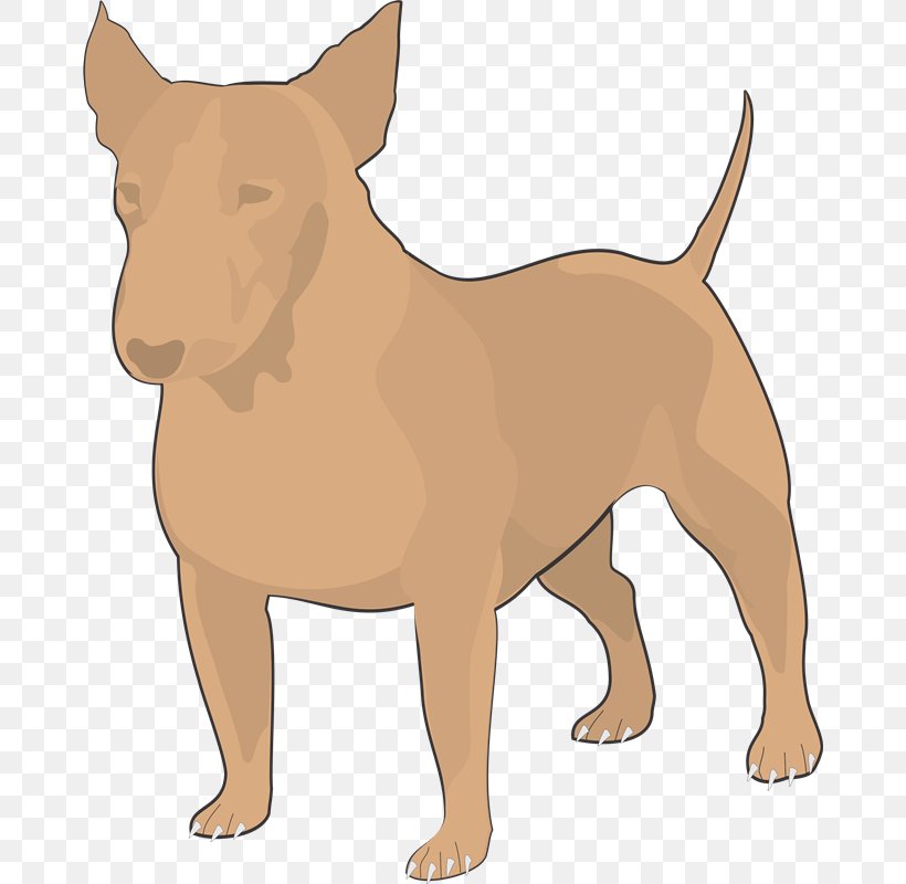 Dog Breed Non-sporting Group Puppy Shiba Inu Clip Art, PNG, 670x800px, Dog Breed, Animal, Breed Group Dog, Carnivoran, Cat Download Free