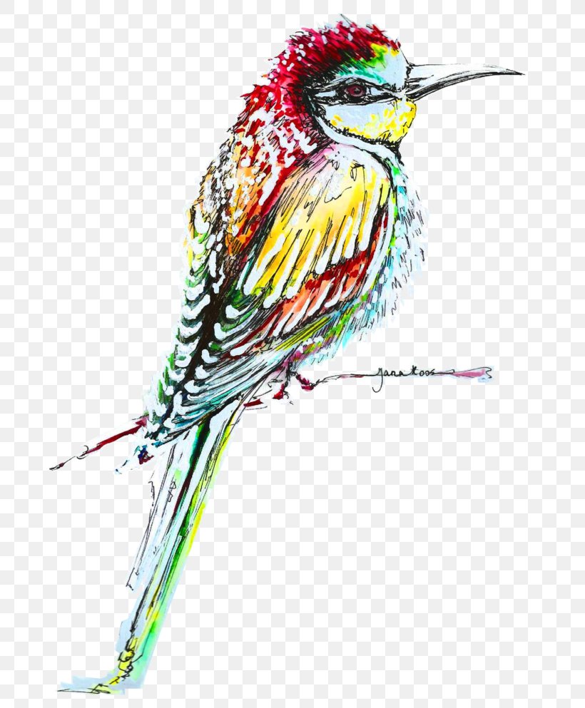 Drawing Beak Illustration /m/02csf Feather, PNG, 690x993px, Drawing, Art, Artwork, Beak, Bird Download Free