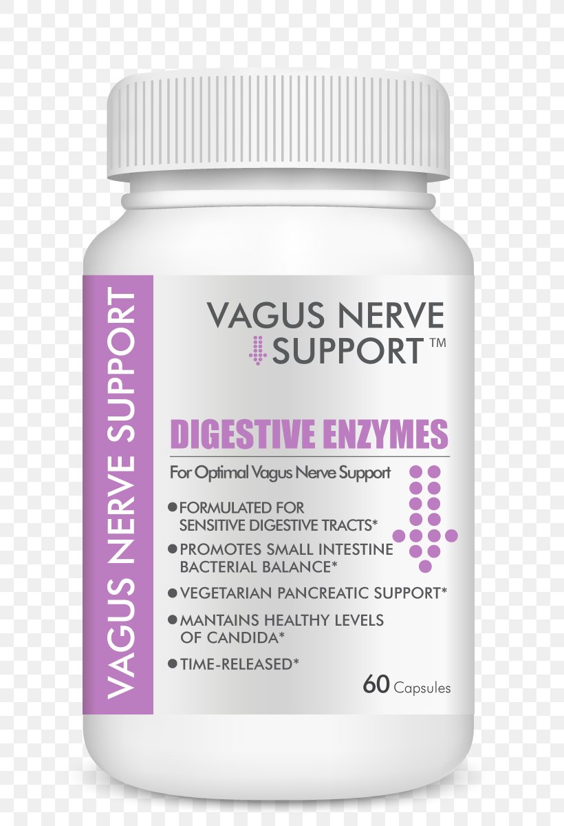 Vagus Nerve Parasympathetic Nervous System Acetylcholine, PNG, 783x1200px, Vagus Nerve, Acetylcholine, Digestion, Digestive Enzyme, Enzyme Download Free