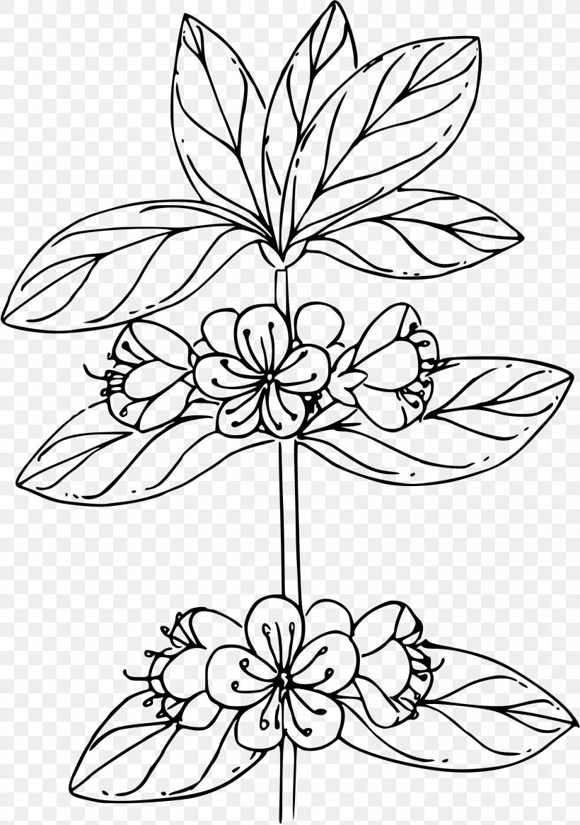 Coloring Book Floral Design Flower Clip Art, PNG, 1687x2400px, Coloring Book, Area, Art, Azalea, Black And White Download Free