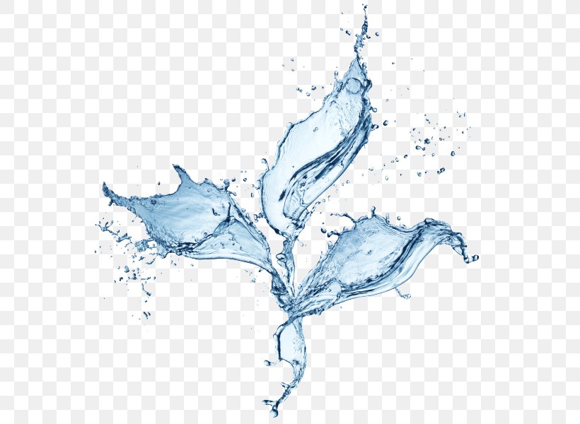 Water Drop, PNG, 600x600px, Water, Branch, Color, Computer Graphics, Drawing Download Free