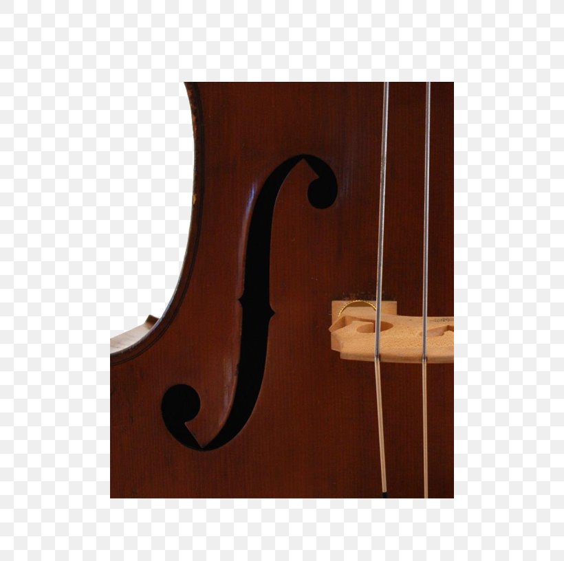Bass Violin Double Bass Violone Viola Octobass, PNG, 500x816px, Bass Violin, Bass, Bass Guitar, Bowed String Instrument, Cello Download Free