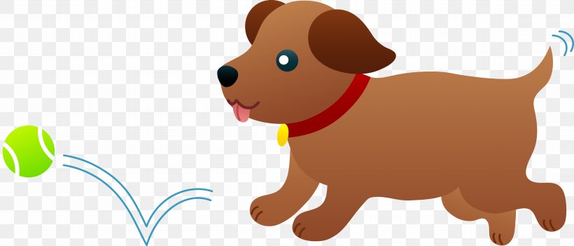 Maltese Dog Dachshund Labrador Retriever Yorkshire Terrier Puppy, PNG, 9216x3952px, Maltese Dog, Carnivoran, Cuteness, Dachshund, Dog Download Free