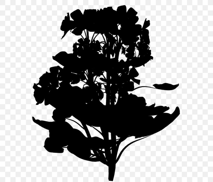 Flowering Plant Silhouette Font Leaf, PNG, 598x699px, Flower, Blackandwhite, Botany, Branch, Flowering Plant Download Free