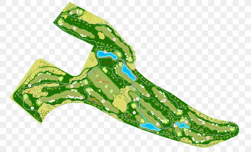 La Faisanera Golf Golf Course Map Plan, PNG, 900x548px, Golf, Animal, Blog, Credit Card, Golf Course Download Free