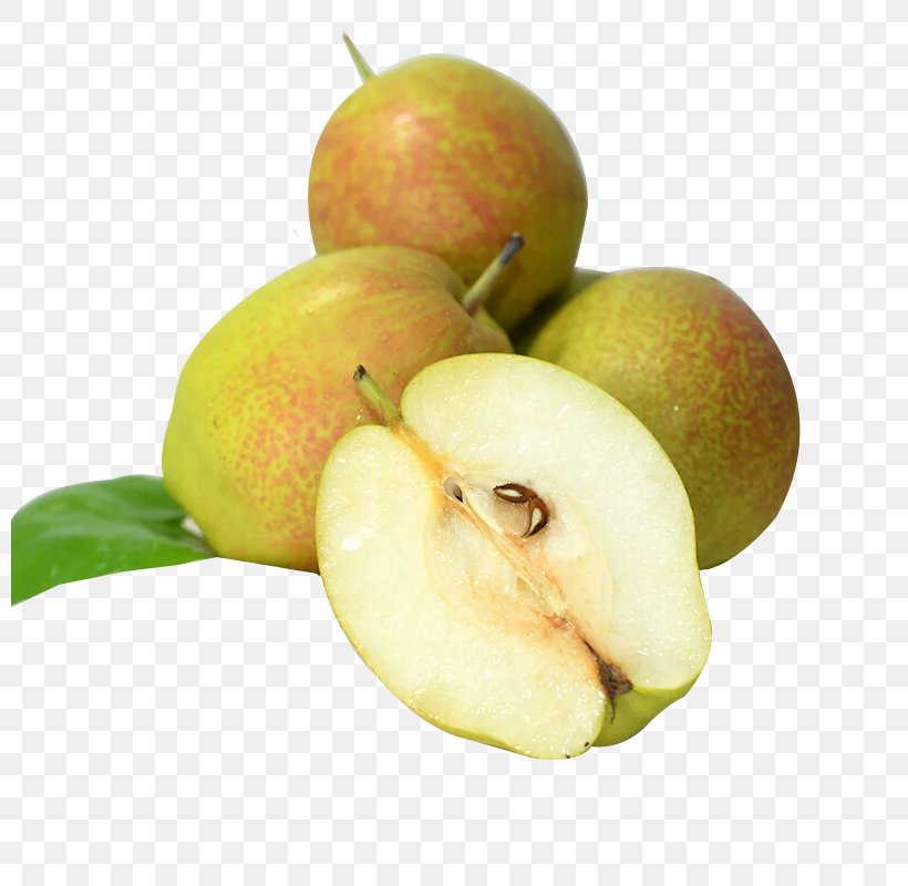 Pyrus Nivalis European Pear Xiangli Wholesale Food, PNG, 800x800px, Pyrus Nivalis, Apple, Auglis, Diet Food, Distribution Center Download Free