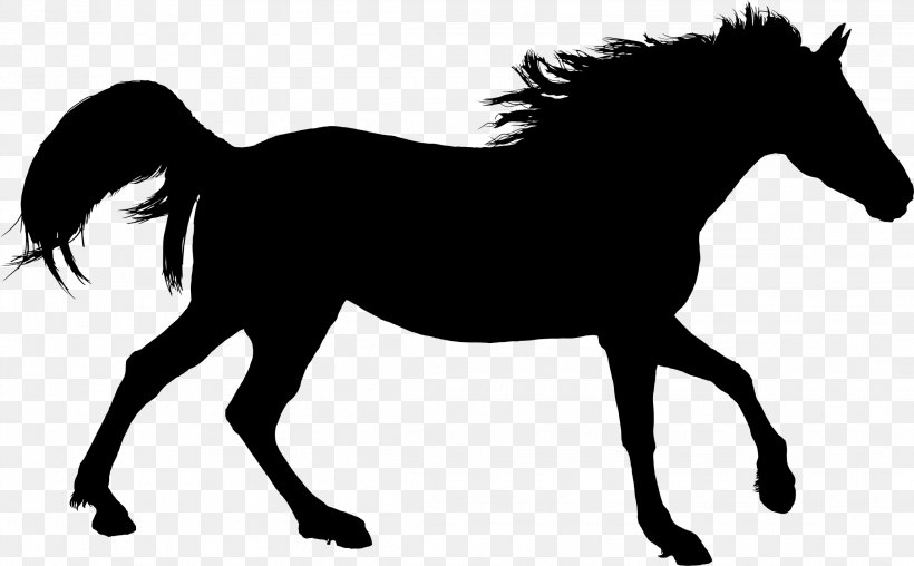American Quarter Horse Equestrian Clip Art, PNG, 2292x1420px, American Quarter Horse, Black, Black And White, Bridle, Colt Download Free