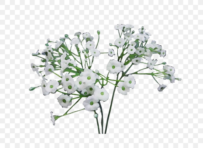 Watercolor Flower Background, PNG, 800x600px, Watercolor, Artificial Flower, Babysbreath, Blossom, Branch Download Free