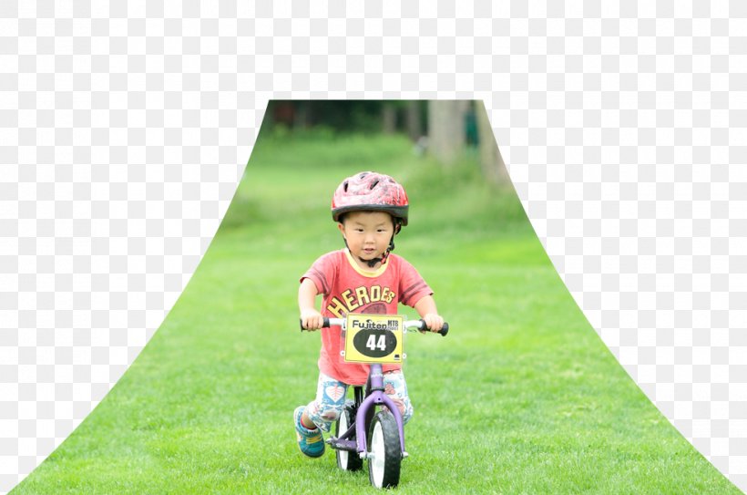 Cycling Bicycle Vehicle Lawn Toddler, PNG, 980x650px, Cycling, Bicycle, Bicycle Accessory, Child, Endurance Sports Download Free