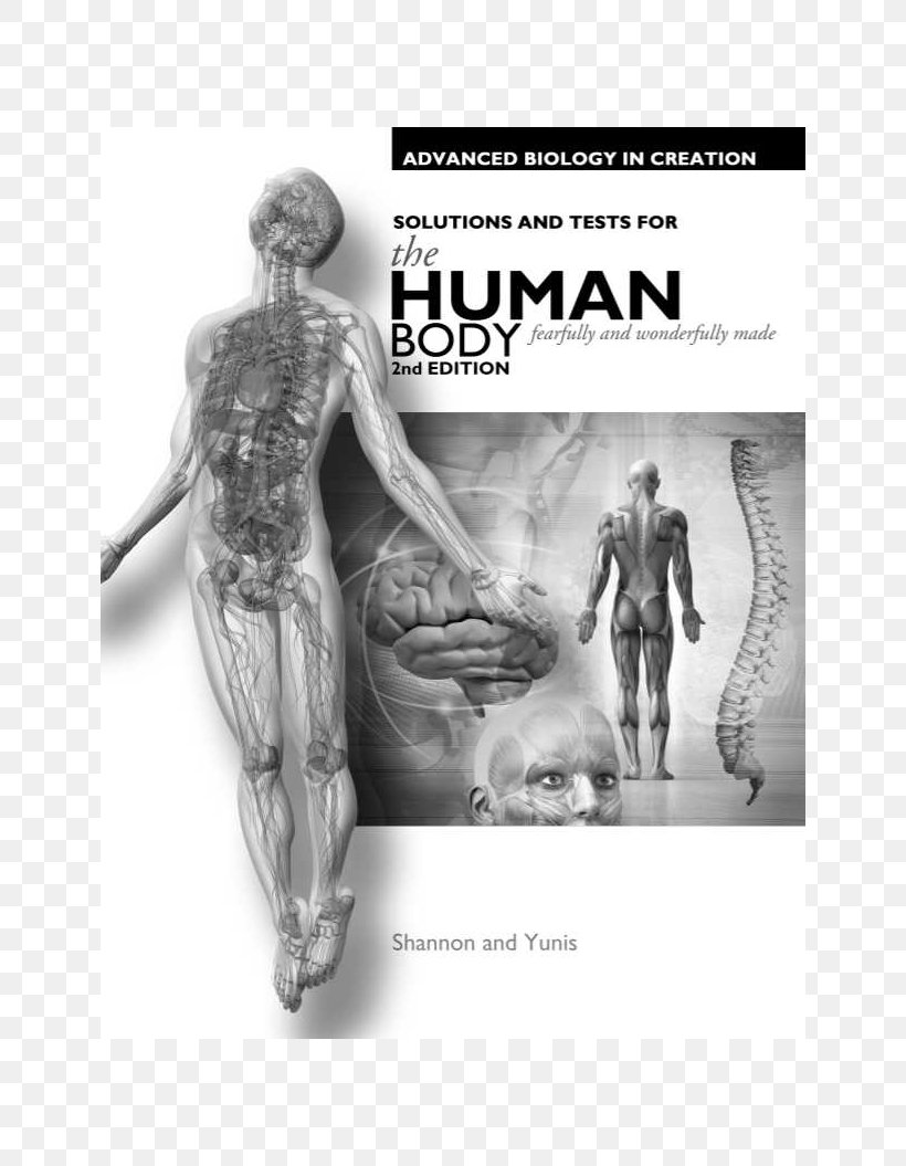 Exploring Creation With Human Anatomy And Physiology Exploring Creation With Biology Human Body, PNG, 800x1055px, Human Body, Anatomy, Apologia, Apologia Educational Ministrs, Arm Download Free