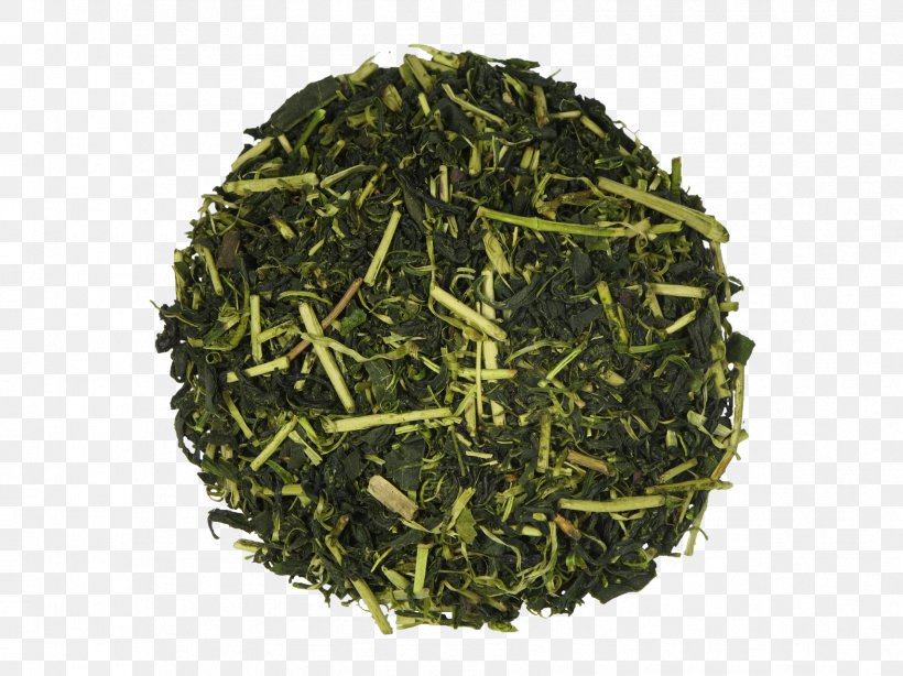 Sencha Hōjicha Green Tea Tamaryokucha, PNG, 1707x1280px, Sencha, Assam Tea, Bancha, Biluochun, Ceylon Tea Download Free