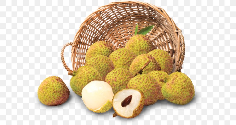 Cempedak Ingredient, PNG, 600x436px, Cempedak, Artocarpeae, Food, Fruit, Ingredient Download Free