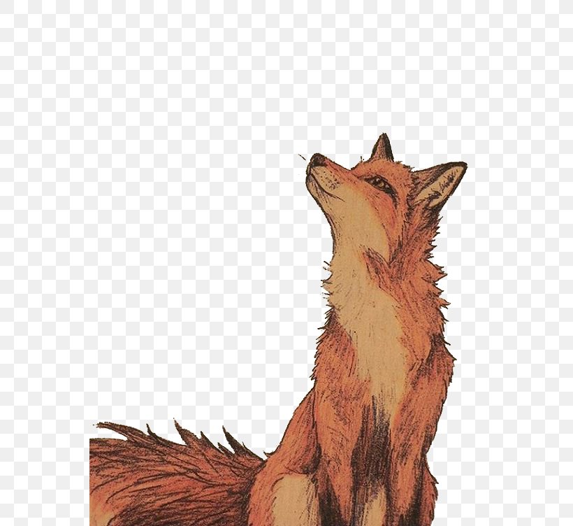 Drawing Art Fox Watercolor Painting Illustration, PNG, 564x752px, Drawing, Art, Carnivoran, Creative Industries, Deviantart Download Free