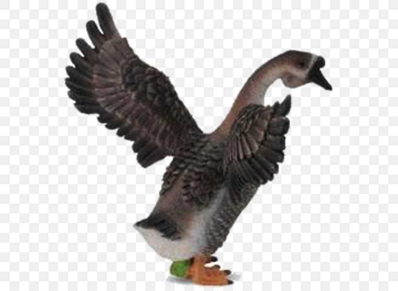 Goose Mallard Bird Amazon.com 0, PNG, 600x600px, Goose, Amazoncom, Animal, Beak, Bird Download Free