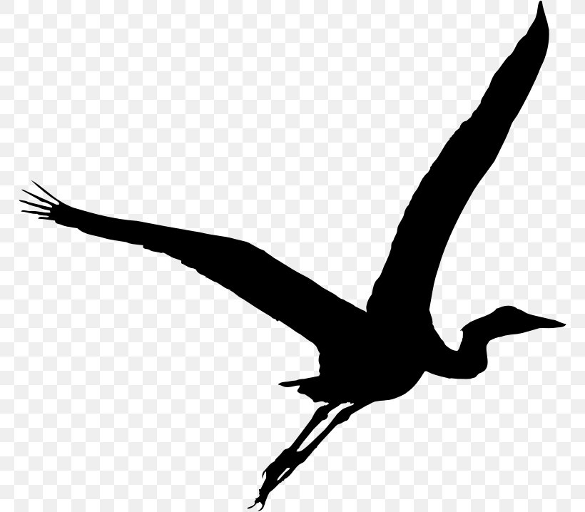 Great Blue Heron Bird Clip Art, PNG, 768x718px, Heron, Beak, Bird, Black And White, Crane Like Bird Download Free