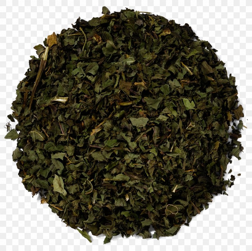 Nilgiri Tea Tieguanyin Leaf Tea Plant, PNG, 1600x1600px, Nilgiri Tea, Assam Tea, Bancha, Biluochun, Ceylon Tea Download Free