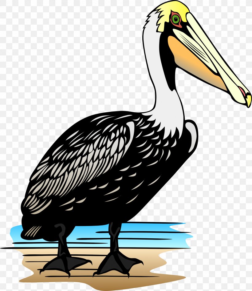 Pelican Clip Art, PNG, 2081x2400px, Pelican, Artwork, Beak, Bird, Cartoon Download Free