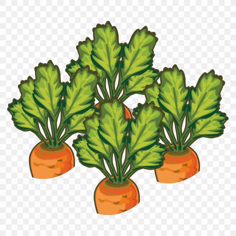 Carrot Vegetable Illustration, PNG, 1000x1000px, Carrot, Flowerpot, Food, Fruit, Green Bean Download Free