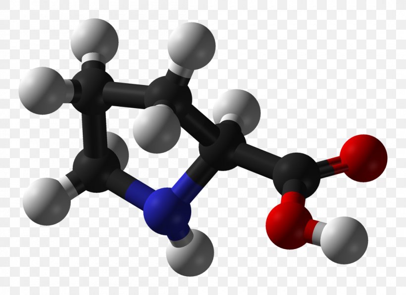 Proline Amino Acid Carboxylic Acid Amine Protein, PNG, 1100x802px, Proline, Acid, Amine, Amino Acid, Carboxylic Acid Download Free