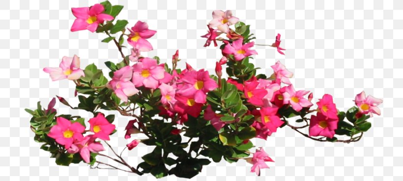 Floral Design Cut Flowers Flower Bouquet Petal, PNG, 740x370px, Floral Design, Annual Plant, Art, Artificial Flower, Azalea Download Free