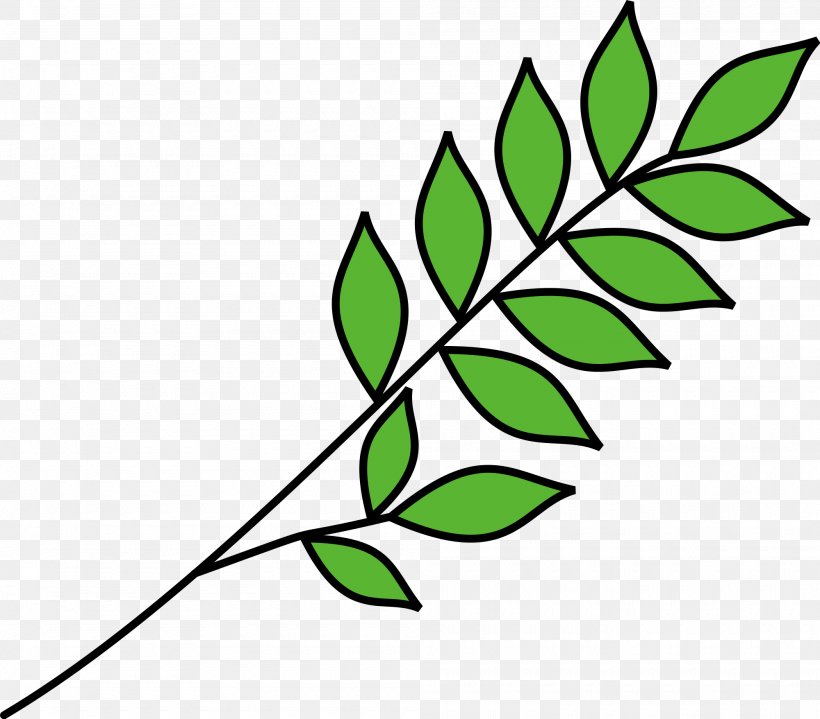 Olive Branch Clip Art Drawing Image Vector Graphics, PNG, 2000x1756px, Olive Branch, Blog, Botany, Branch, Drawing Download Free