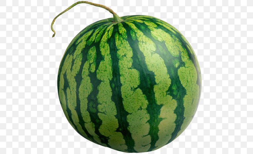 Watermelon Fruit, PNG, 600x500px, Watermelon, Citrullus, Cucumber Gourd And Melon Family, Cucumis, Cucurbita Download Free