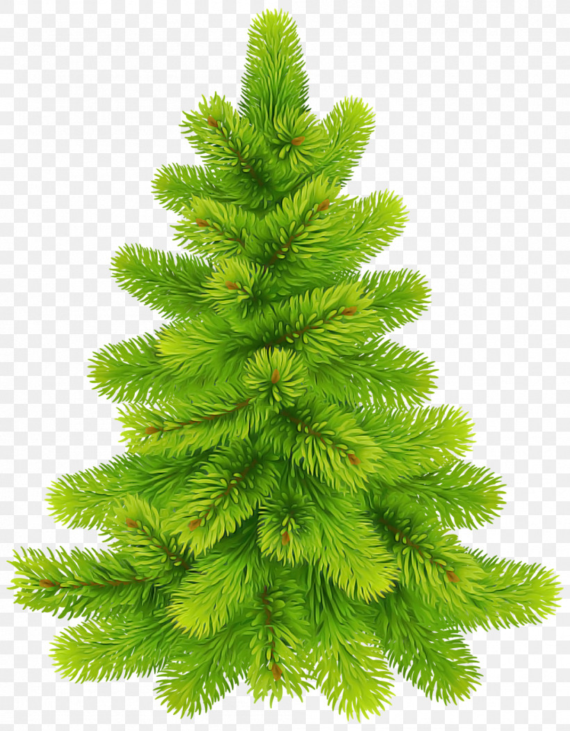 Christmas Tree, PNG, 998x1279px, Shortleaf Black Spruce, American Larch, Balsam Fir, Branch, Canadian Fir Download Free
