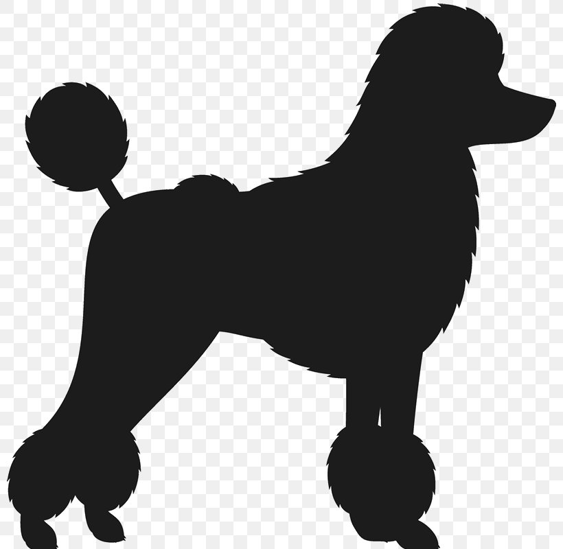 Dog Breed Toy Poodle Standard Poodle Dachshund, PNG, 800x800px, Dog Breed, Bichon, Bichon Frise, Black, Black And White Download Free