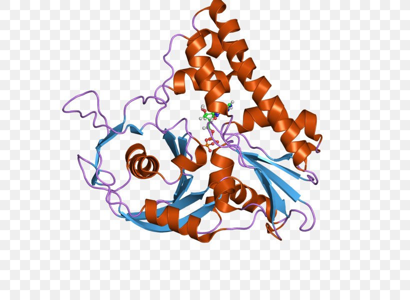 ParM Protein Plasmid Actin Prokaryote, PNG, 800x600px, Parm, Actin, Art, Atpase, Bacteria Download Free
