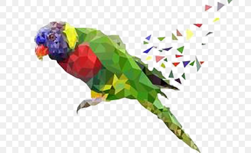 Parrot Lovebird, PNG, 698x500px, Parrot, Beak, Bird, Common Pet Parakeet, Fauna Download Free