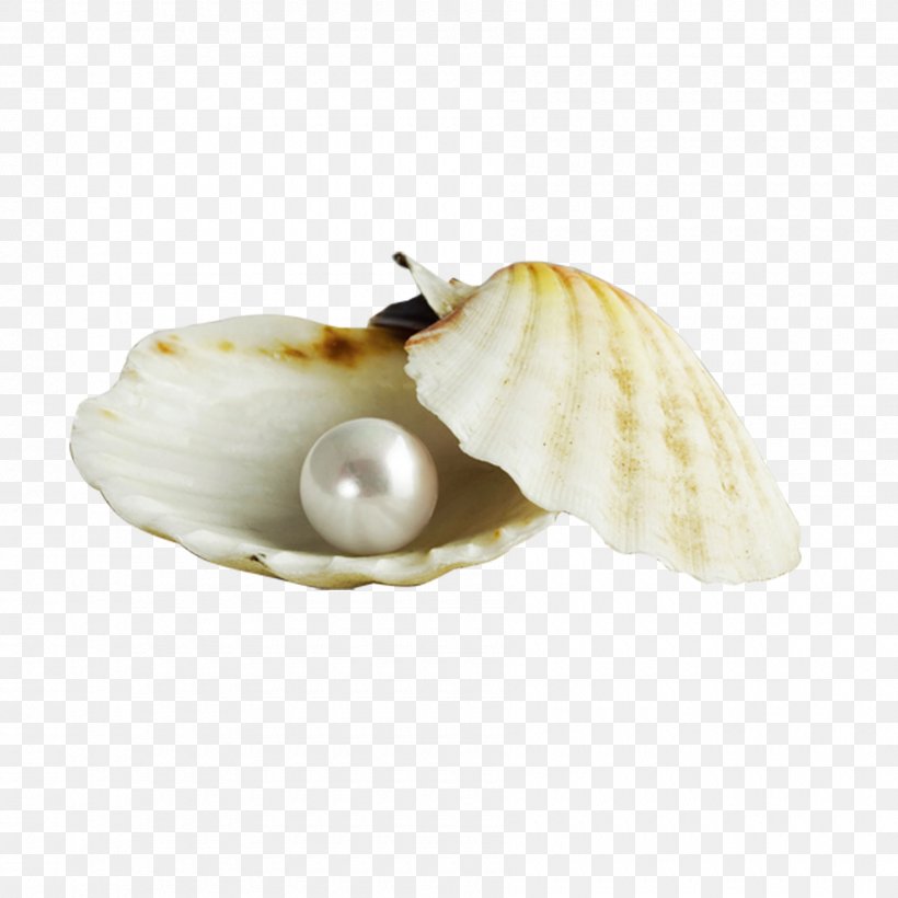 Pearl Oyster Seashell Nacre Gemstone, PNG, 1800x1800px, Pearl, Button, Cultured Pearl, Diamond, Emerald Download Free
