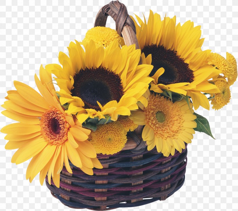 Royalty-free Basket Common Sunflower Garden, PNG, 1200x1064px, Royaltyfree, Basket, Common Sunflower, Cut Flowers, Daisy Family Download Free