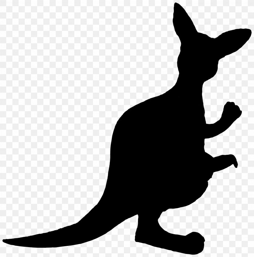 Whiskers Cat Clip Art Kangaroo Fauna, PNG, 2813x2857px, Whiskers, Black M, Cat, Fauna, Kangaroo Download Free