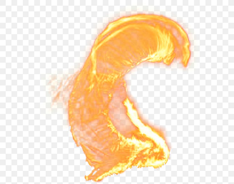 Flame Combustion Download, PNG, 599x646px, Flame, Combustion, Fire, Google Images, Orange Download Free