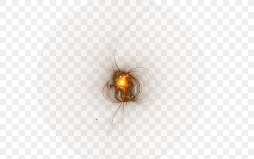 Insect Lighting Orange S.A., PNG, 699x514px, Insect, Invertebrate, Lighting, Membrane Winged Insect, Orange Download Free