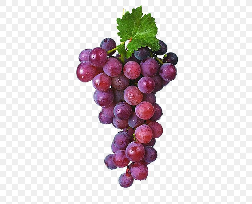 Kyoho Juice Sultana Grape Frutti Di Bosco, PNG, 500x667px, Kyoho, Drink, Extract, Food, Fruit Download Free