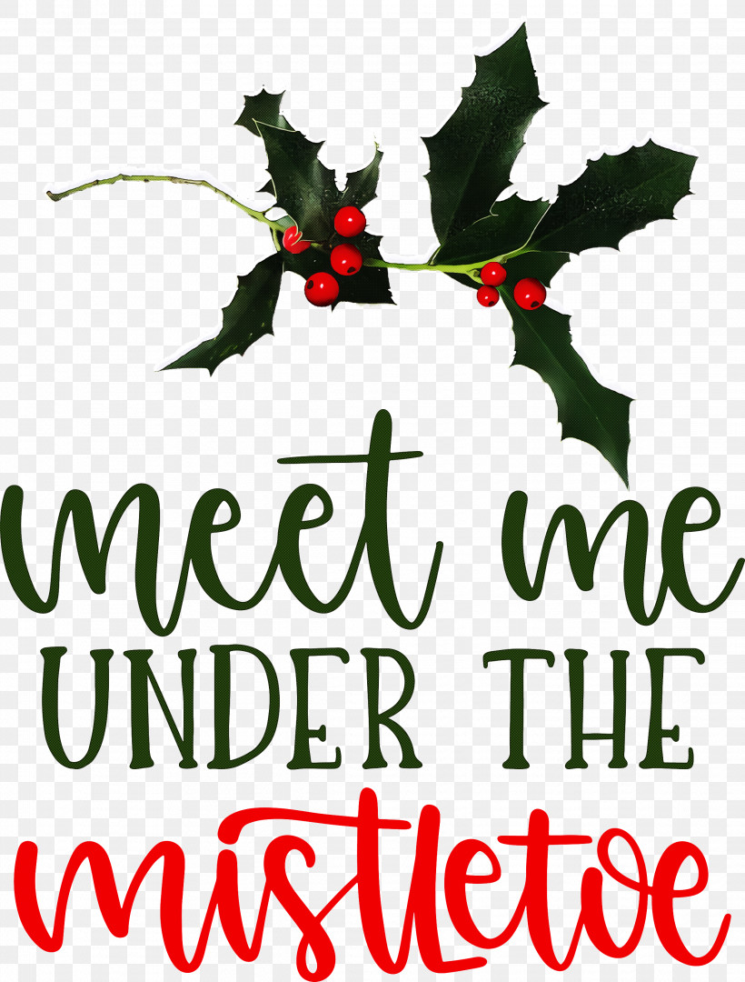 Meet Me Under The Mistletoe Mistletoe, PNG, 2277x3000px, Mistletoe, Aquifoliaceae, Aquifoliales, Branching, Christmas Day Download Free