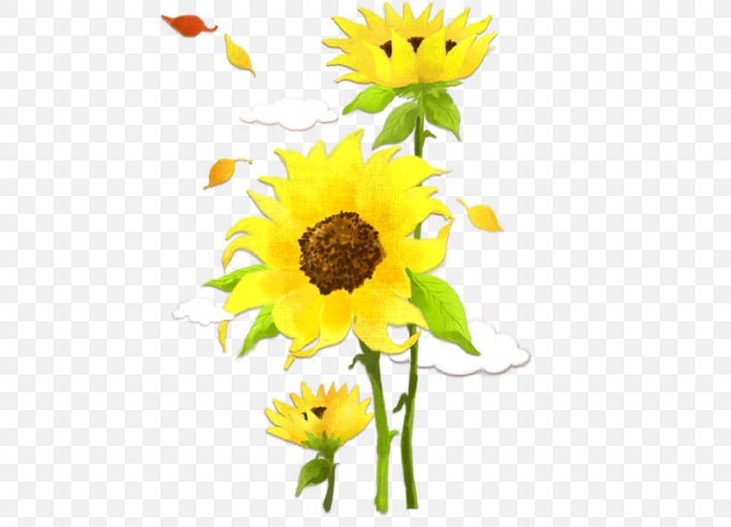 Poster, PNG, 461x591px, Poster, Common Sunflower, Cut Flowers, Daisy Family, Display Resolution Download Free