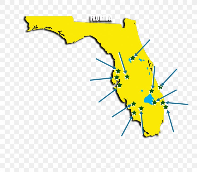 Everglades Miami Metropolitan Area Map Clip Art, PNG, 900x788px, Everglades, Area, Diagram, Florida, Leaf Download Free