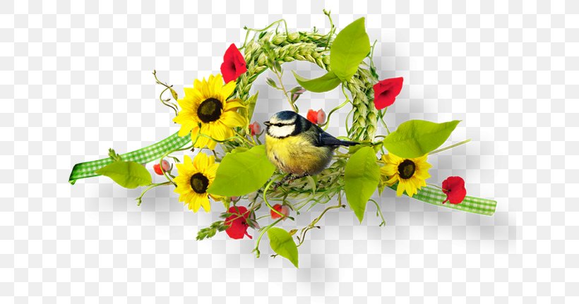 Floral Design Image Cut Flowers Clip Art, PNG, 642x431px, Floral Design, Beak, Bird, Blume, Branch Download Free