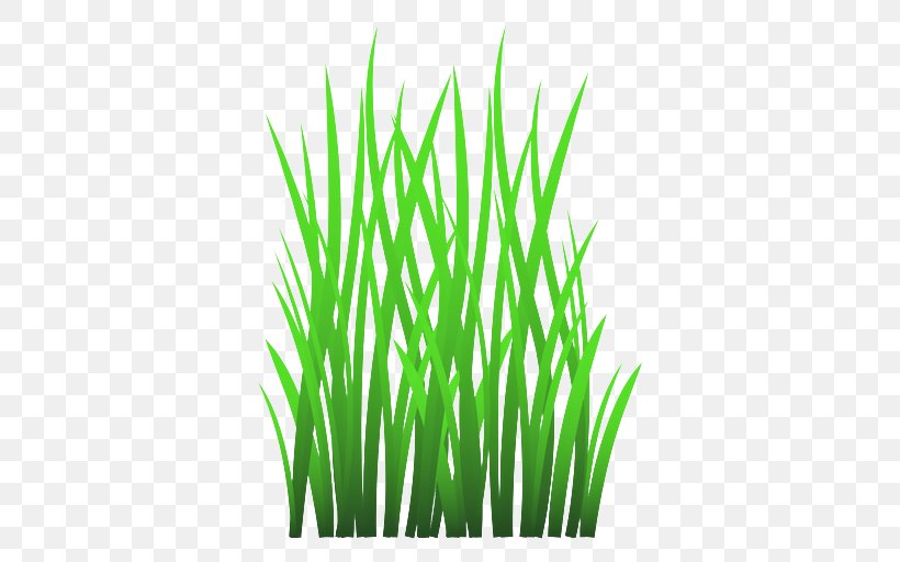 Grass Green Plant Grass Family Wheatgrass, PNG, 512x512px, Grass, Chives, Flowering Plant, Garlic Chives, Grass Family Download Free