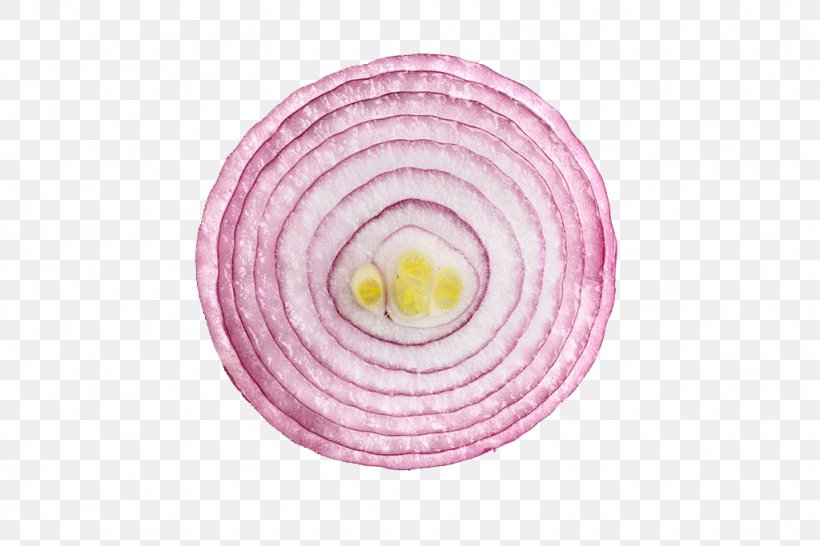 United States French Onion Soup Red Onion Yellow Onion, PNG, 1024x683px, United States, French Onion Soup, Fresh, Magenta, Onion Download Free