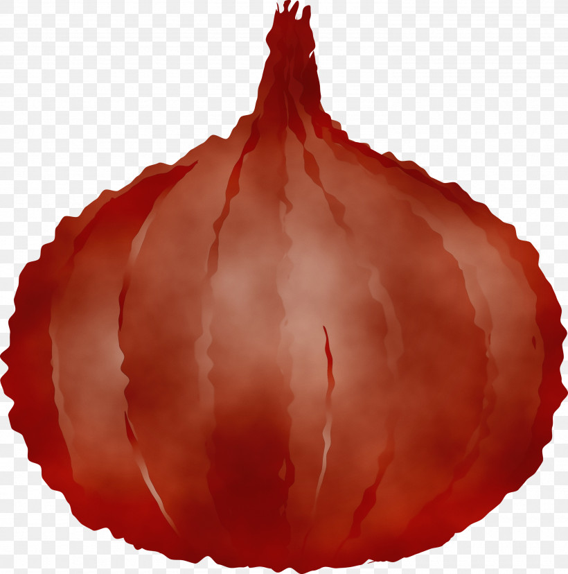 Vegetable Fruit Peach, PNG, 2970x3000px, Onion, Fruit, Paint, Peach, Vegetable Download Free