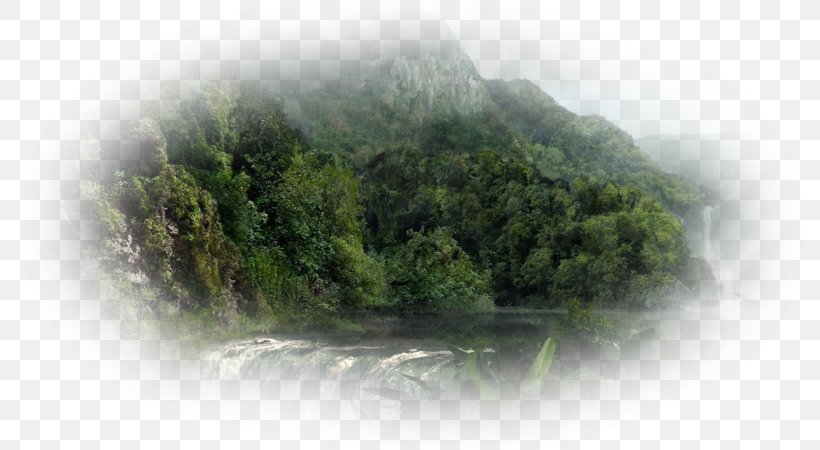Water Resources Vegetation Nature Story Hill Station Natural Resource, PNG, 800x450px, Water Resources, Fog, Grass, Hill Station, Jungle Download Free