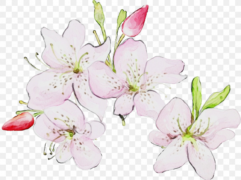 Cherry Blossom, PNG, 920x687px, Watercolor, Blossom, Branch, Cherry Blossom, Cut Flowers Download Free