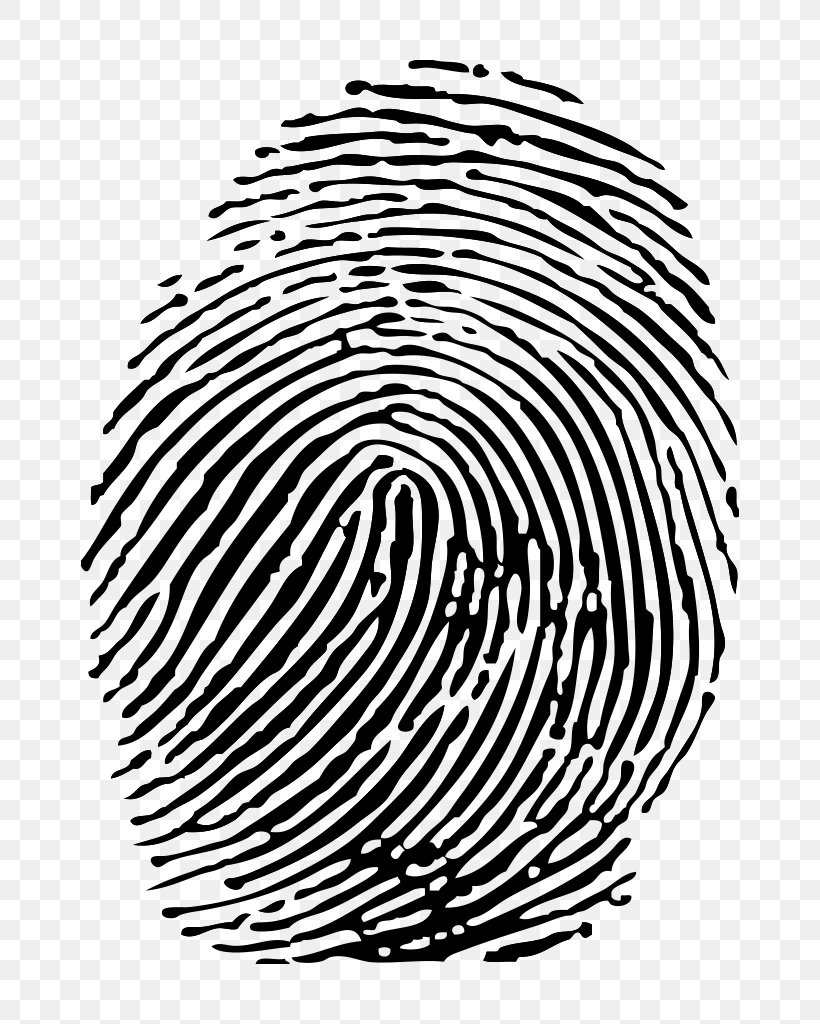 Fingerprint, PNG, 768x1024px, Fingerprint, Area, Black And White, Depositphotos, Drawing Download Free