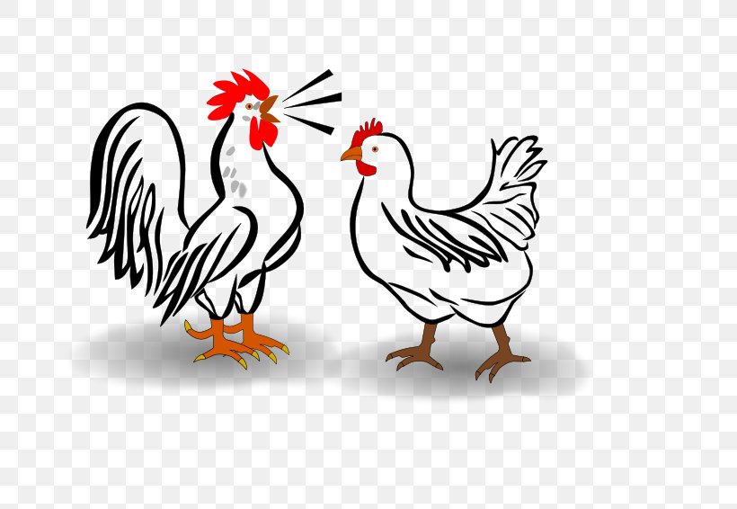 Houdan Chicken Leghorn Chicken Cochin Chicken Croad Langshan Hamburg Chicken, PNG, 800x566px, Houdan Chicken, Beak, Bird, Chicken, Cochin Chicken Download Free